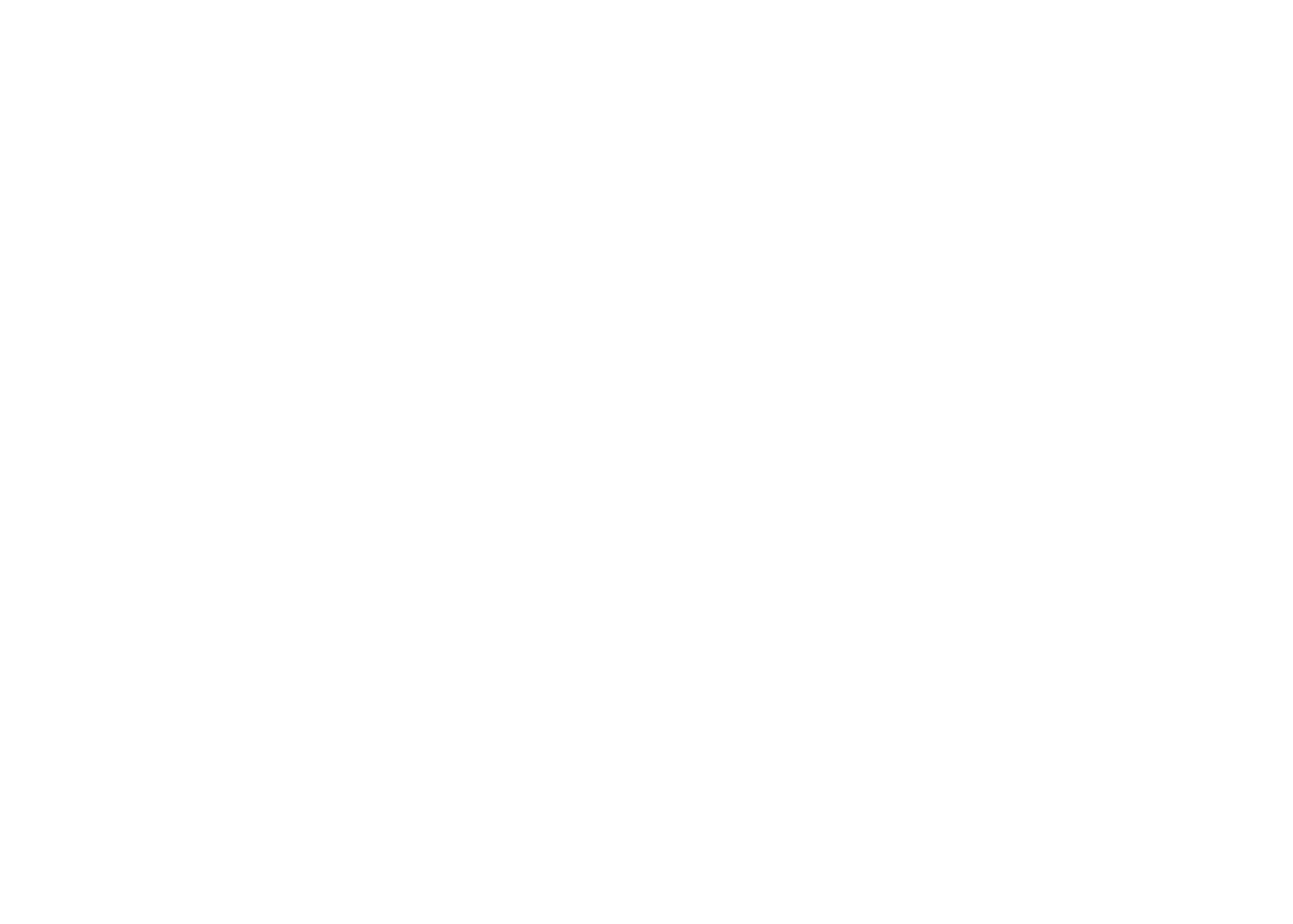 FMS_blanc