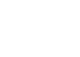 FMS_blanc